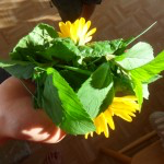 Wie Kinder ihre Kreativität für ein buntes Abendessen einbringen